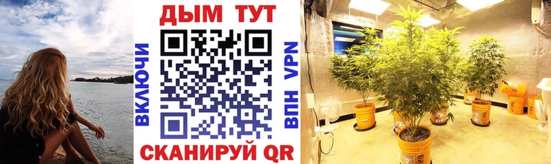 Бошки Шишки VHQ  Волосово 